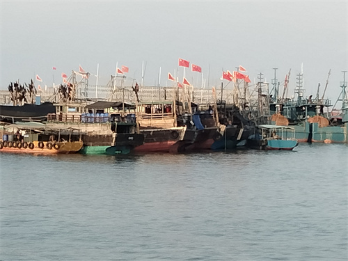 开渔03.jpg