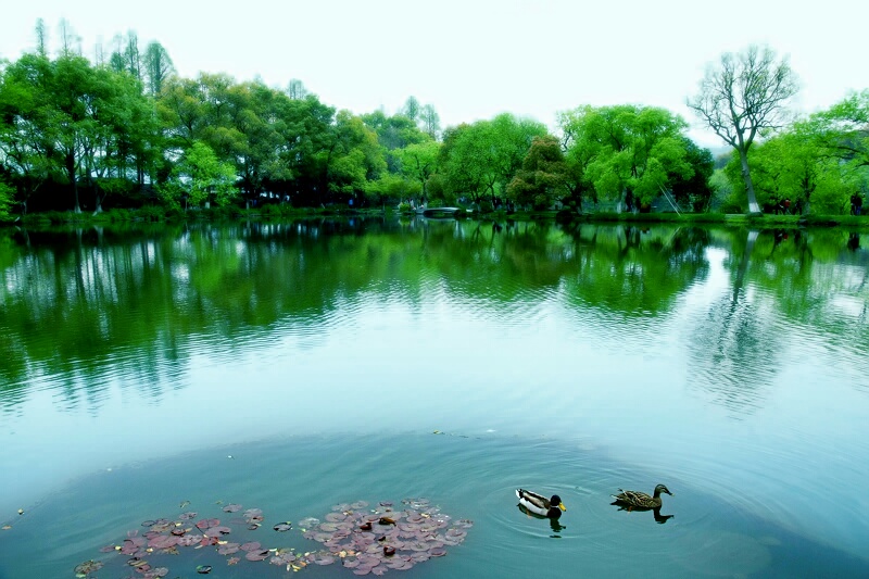 20150203_142942_1.jpg