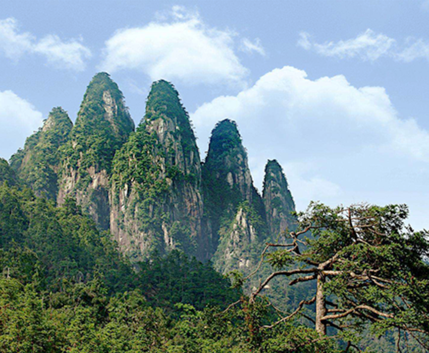 五指山.png