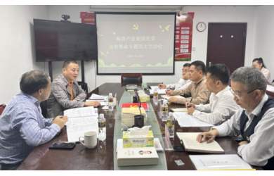 海南省海洋产业集团召开2023年巡察整改专题民主生活会