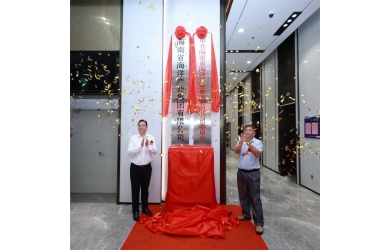 踏上海洋经济新征程        迈向集成发展新阶段 海南省海洋产业集团有限公司揭牌成立