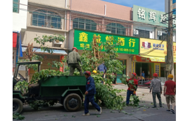积极应对台风“泰利”  确保群众生命财产安全