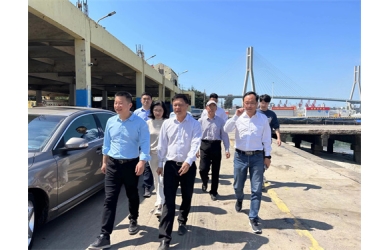 海南省旅游投资发展有限公司到白马基地考察合作项目
