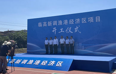 临高新调渔港经济区项目开工