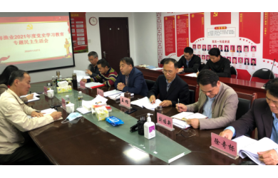南海渔业党委召开2022年度党史学习教育专题民主生活会