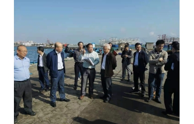 儋州市委书记袁光平到我司白马井基地调研
