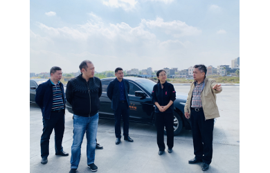 省国资委刘凤花副主任到儋州市政府就白马井地区规划等内容座谈和调研