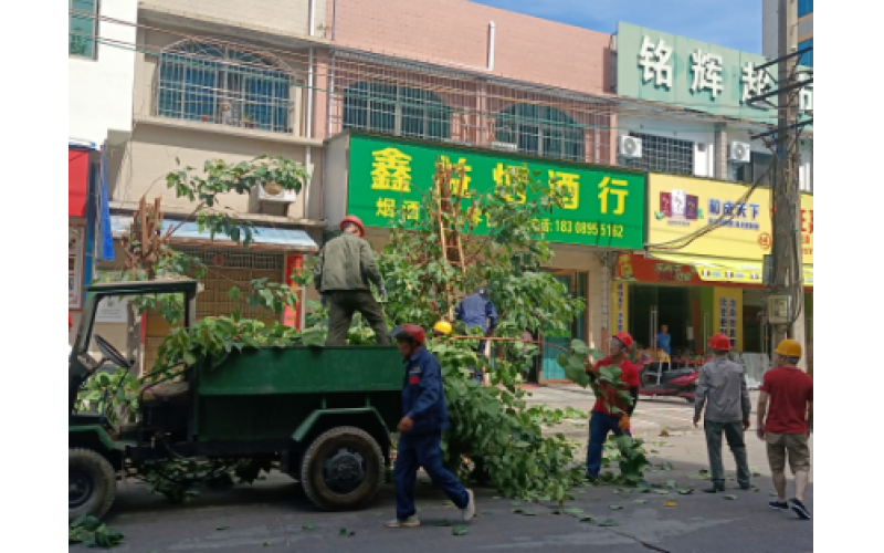 积极应对台风“泰利”  确保群众生命财产安全