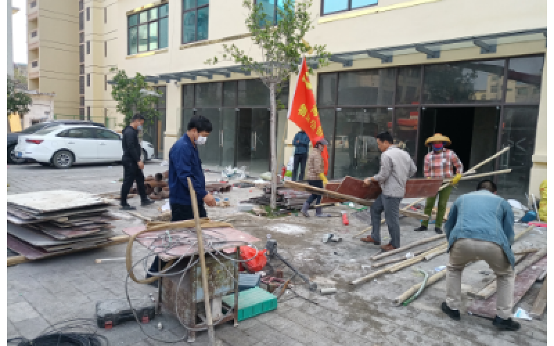 物业公司开展“学习雷锋精神 践行志愿服务”主题党日活动