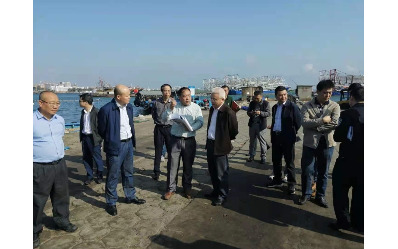 儋州市委书记袁光平到我司白马井基地调研