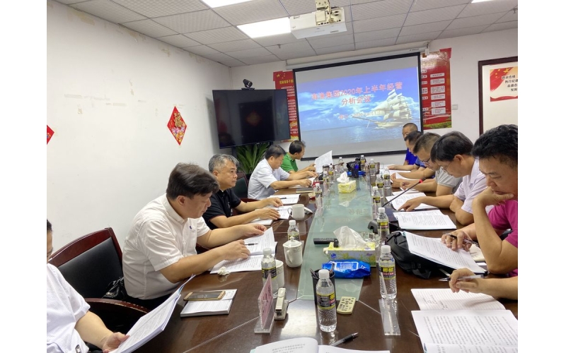 海南省南海现代渔业集团有限公司组织召开“2020上半年经营分析会议”