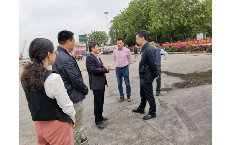 儋州市刘冲副市长一行到白马井基地 渔港码头调研