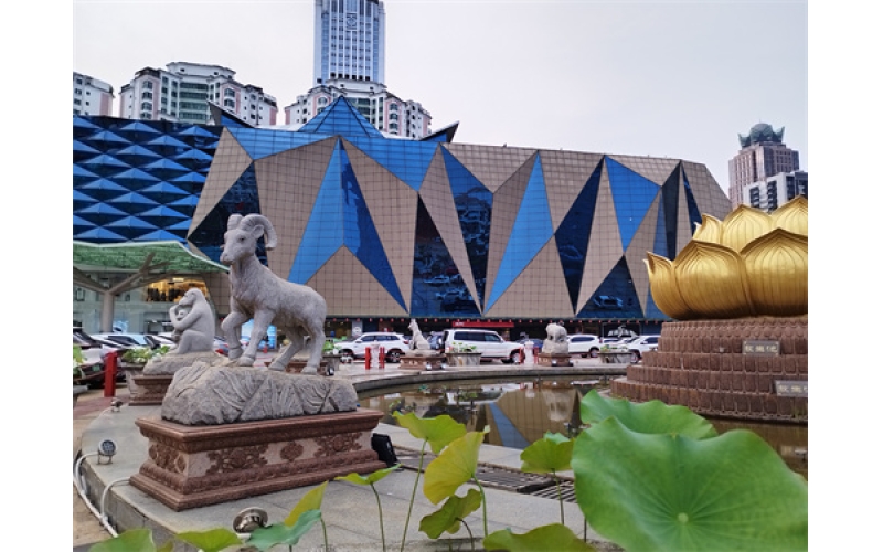 祖国  我们挺起未来的脊梁   作者：子涵