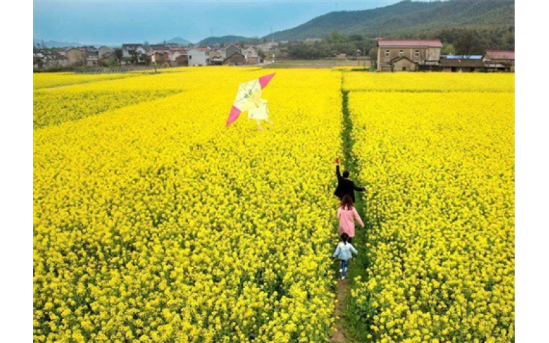 《春游》  诗10首 作者：张峰