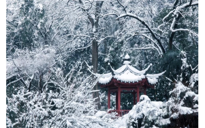 《风雨雪》  诗10首  作者：张峰