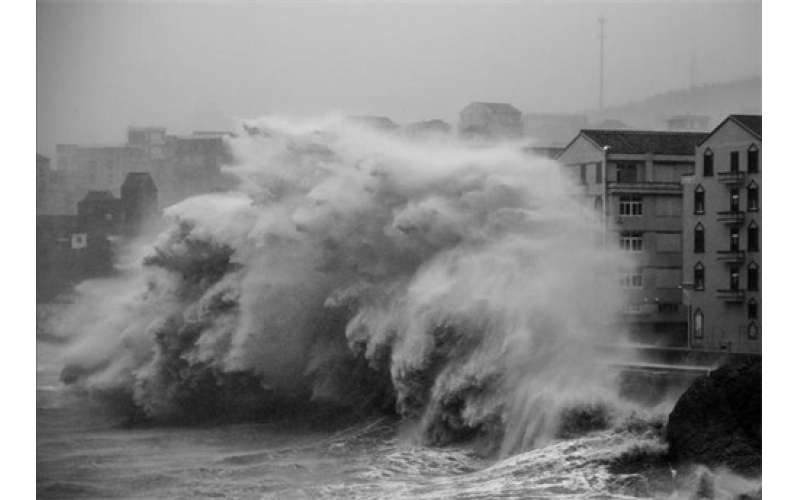 《悲与怒》  诗10首  作者：张峰