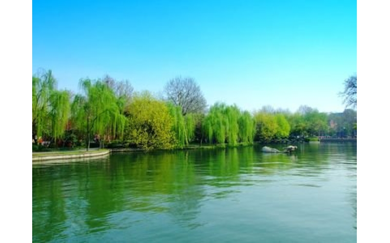 《盼春归》 诗10首 作者：张峰