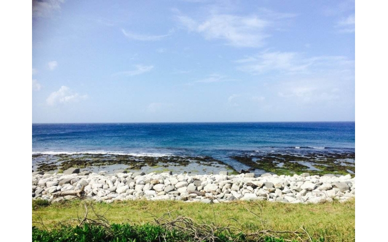 海的那边  作者：张峰