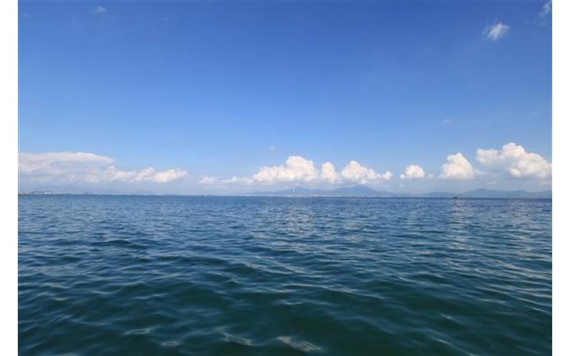 哭泣的海    作者：张峰