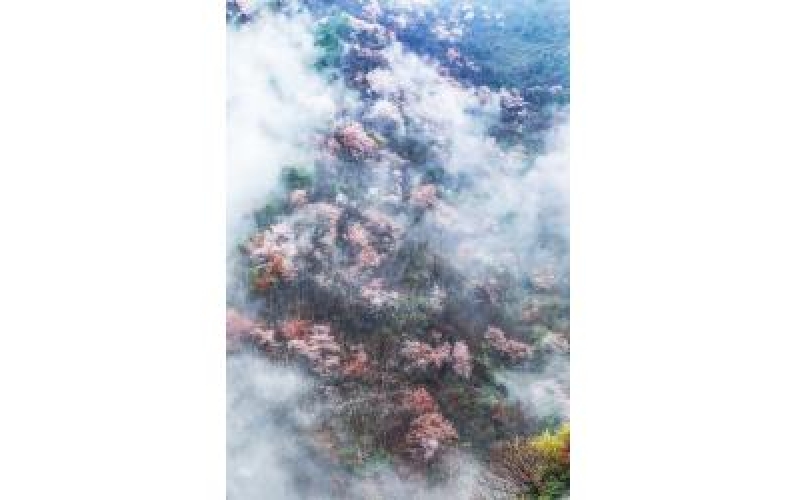 《路痴》  诗10首 作者：张峰