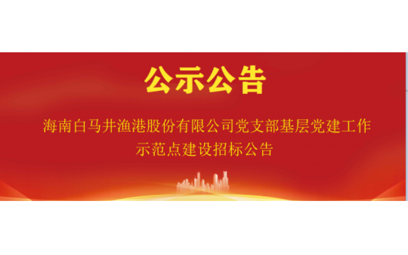 海南白马井渔港股份有限公司党支部基层党建工作示范点建设招标公告
