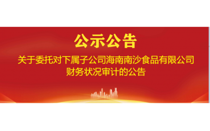 关于委托对下属子公司海南南沙食品有限公司财务状况审计的公告