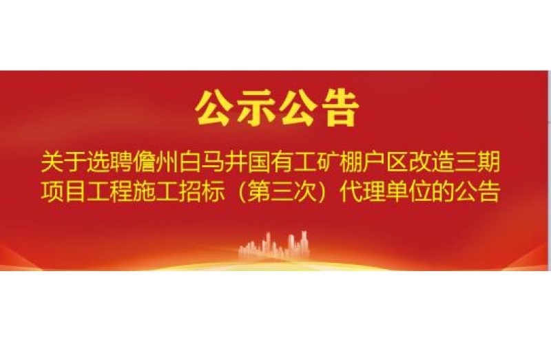 海南渔业关于选聘儋州白马井国有工矿棚户区改造三期项目工程施工招标（第三次）代理单位的公示