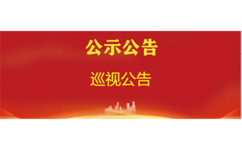 巡视公告