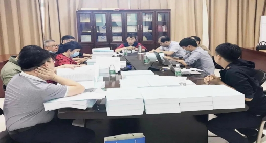 三亚市不动产档案馆信息化项目通过初步验收