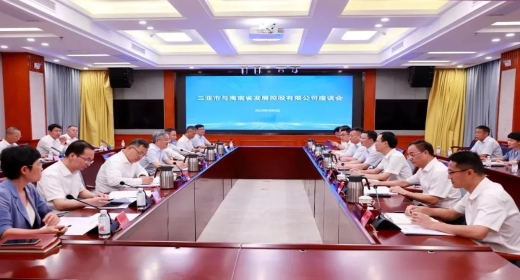 三亚市与海南省发展控股有限公司举行工作座谈会