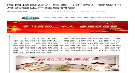 海南控股召开党委（扩大）会暨11月安全生产经营例会