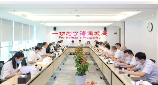 海南控股召开党委（扩大）会暨安全生产委员会会议