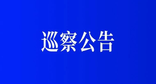 海南控股党委第七轮巡察公告