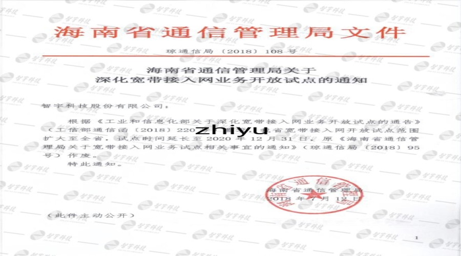 宽带接入网业务